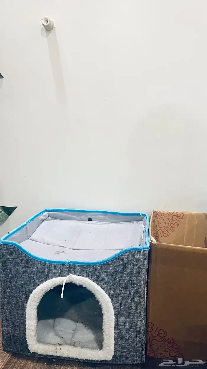 قطه أنثى للبيع ع سوم معاها بيتها وأكلها وكل شي تحتاجه 0