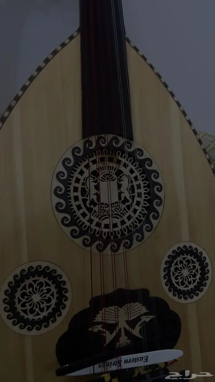 عود مصري للبيع 5