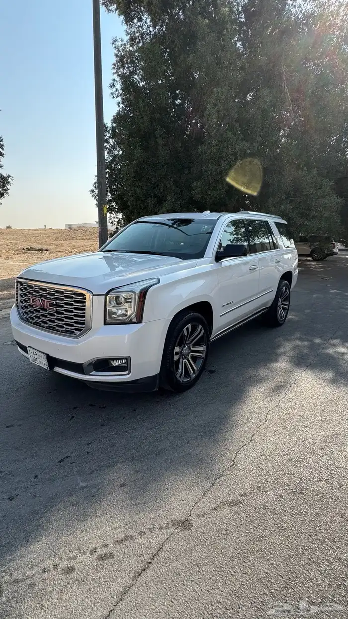 يوكن دينالي 2019 0