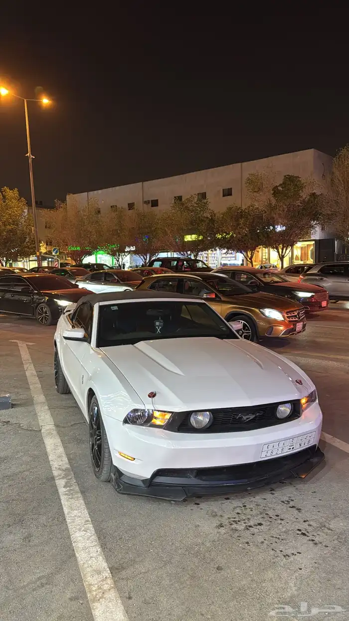 موستنق كشف 0