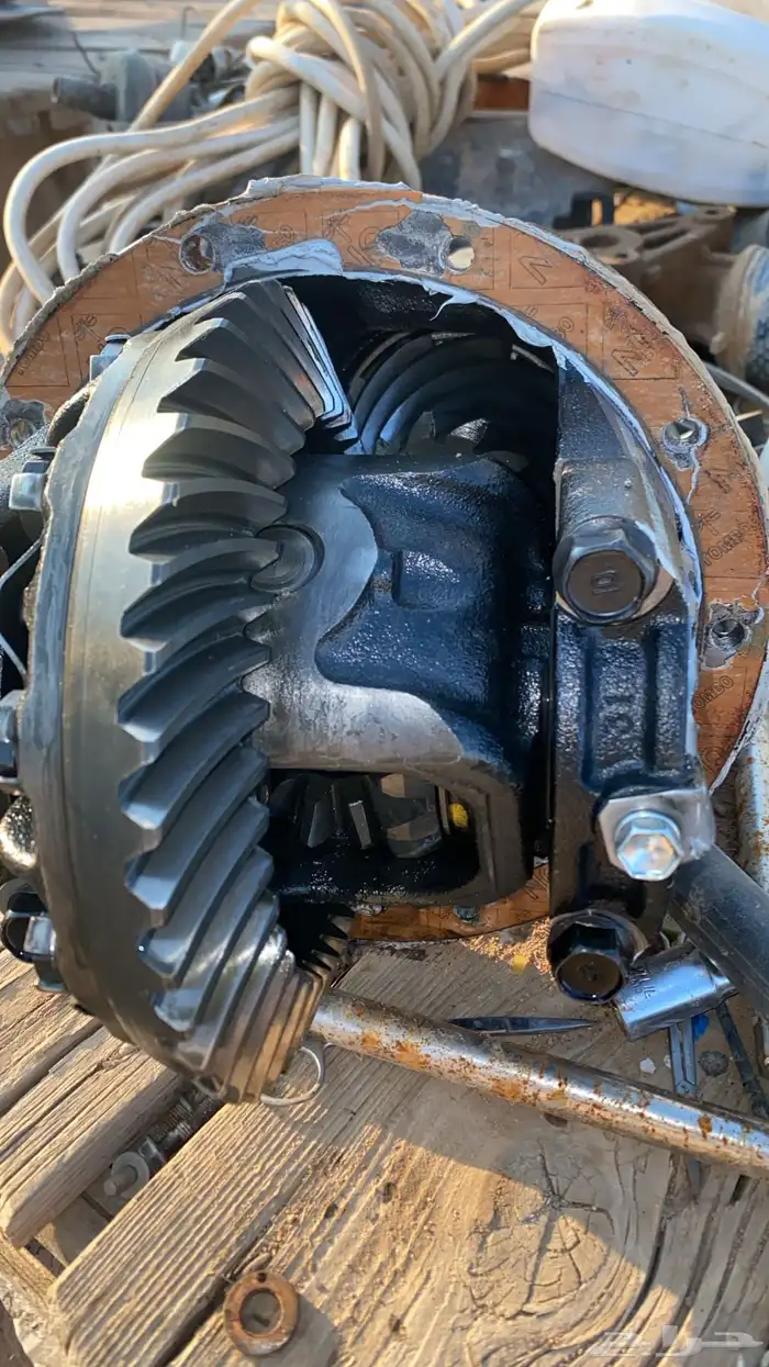 كارونة ربع 10 41 0