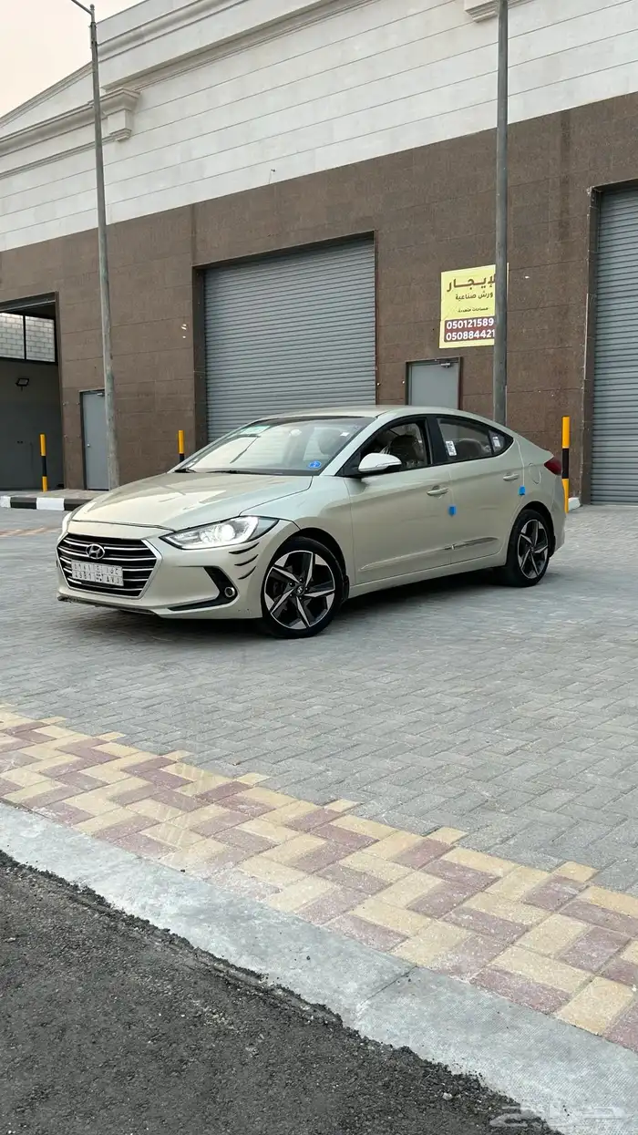 النترا2017 نص فل 0