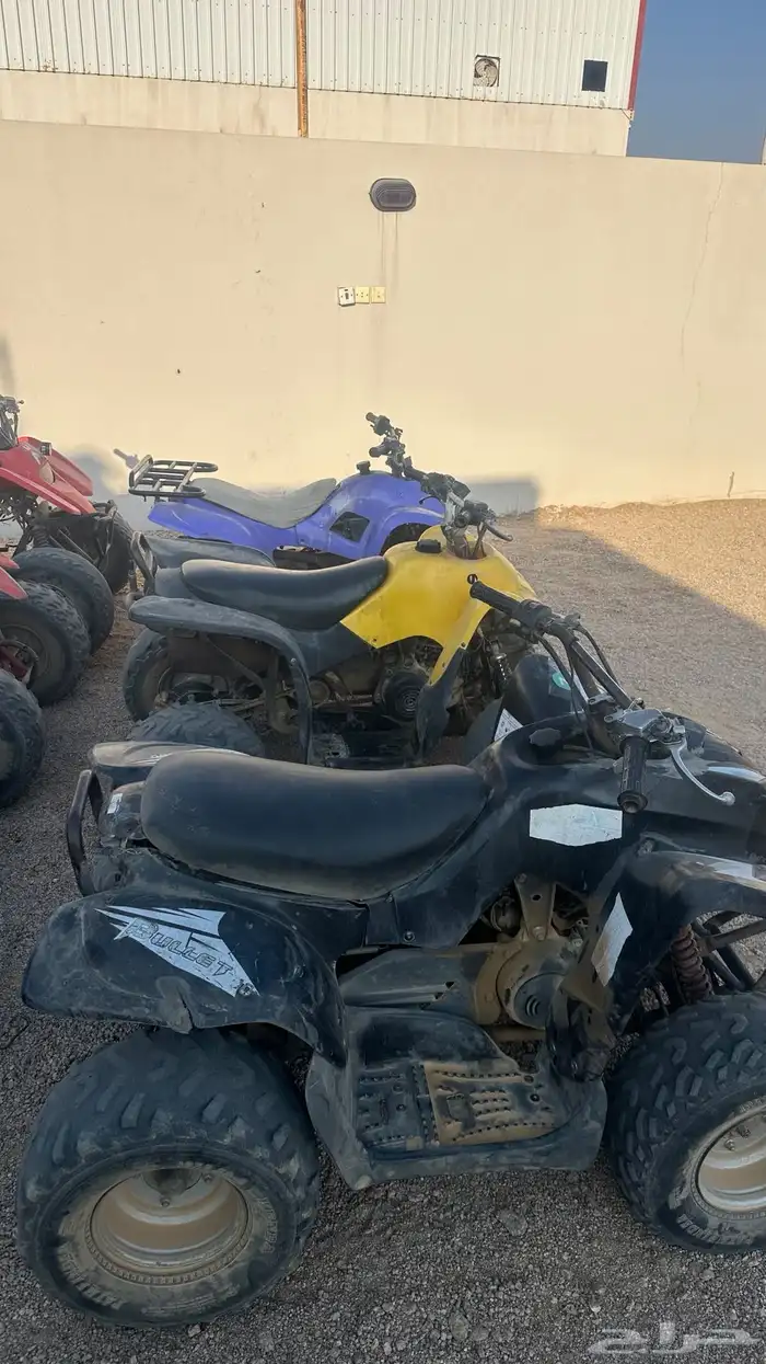 دبابات العدد 6 1