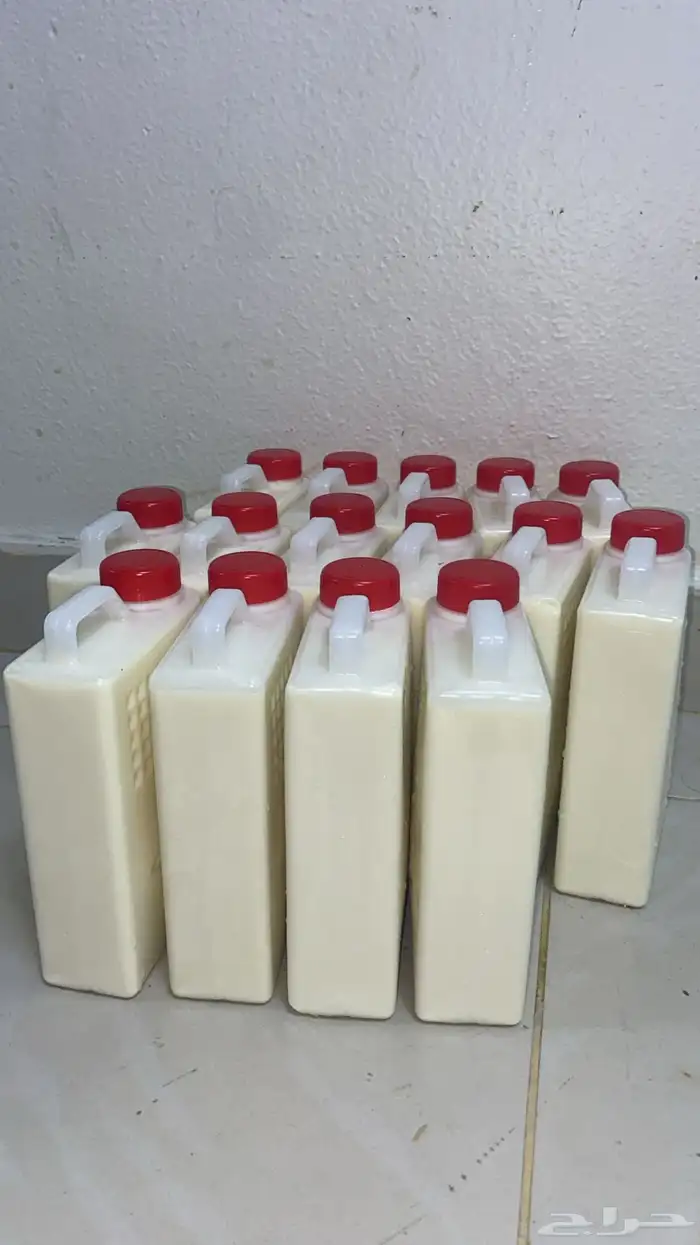 لبن عنم مراح حري 9