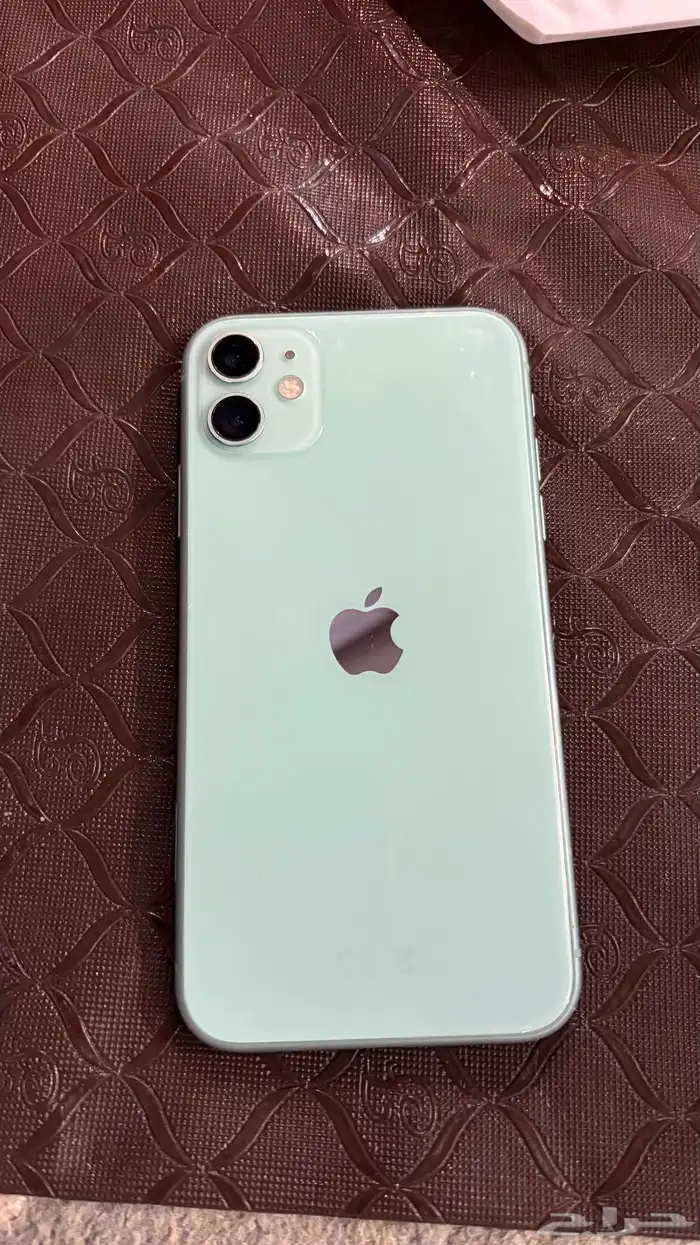 ايفون 11 العادي 2