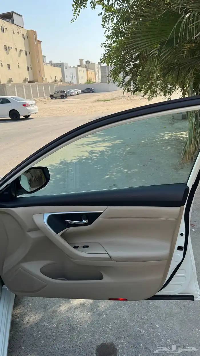 التيما 2017 14