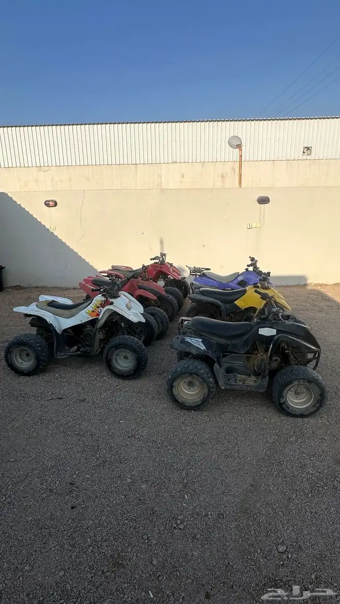 دبابات العدد 6 0