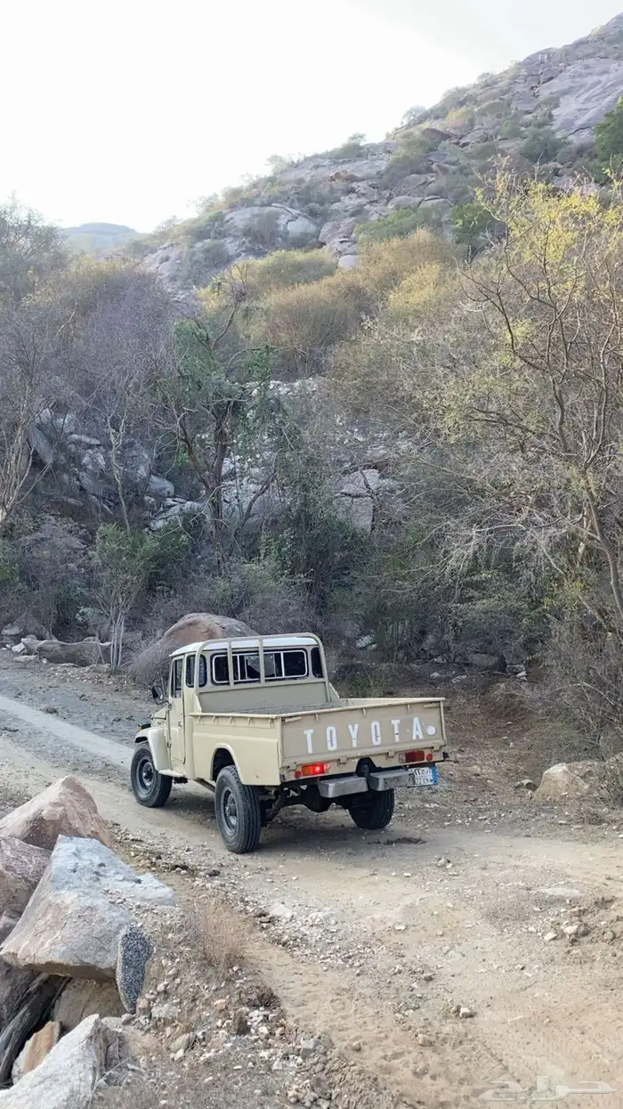 شاص مديل 1982 1