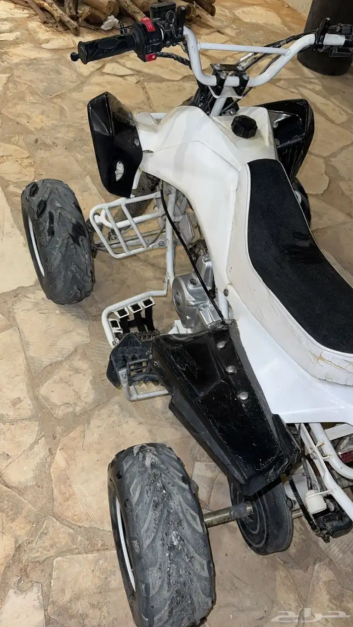 دباب فراشة 2