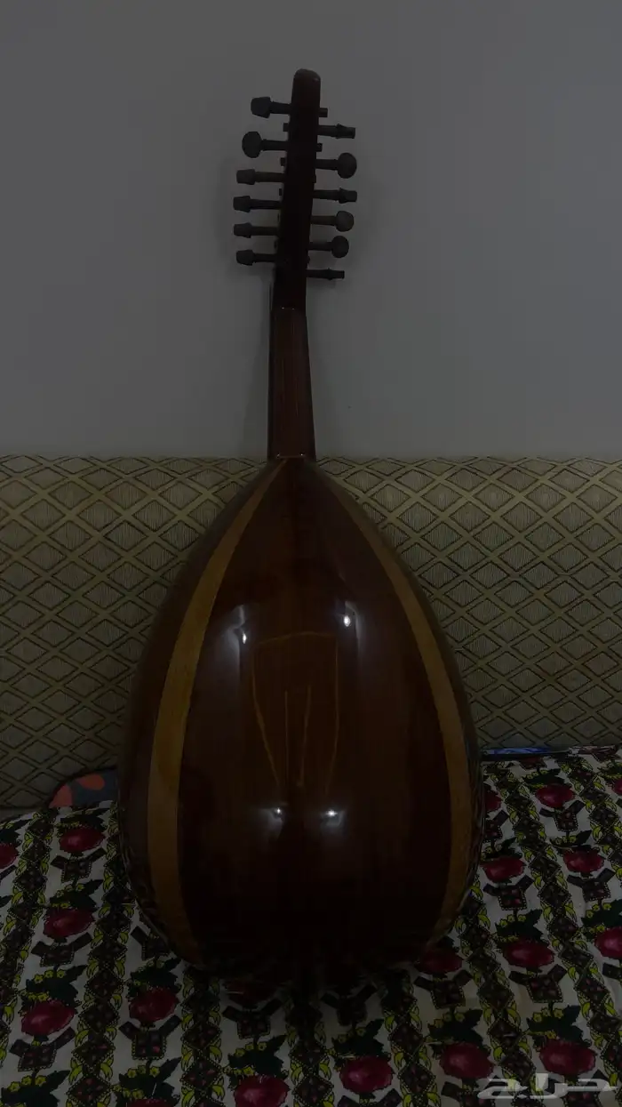 عود مصري للبيع 7