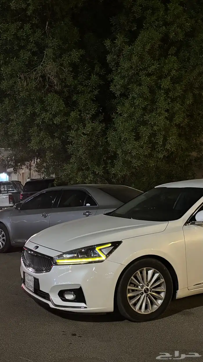 كادينزا 2019 نص فل ديزل (200km) 5