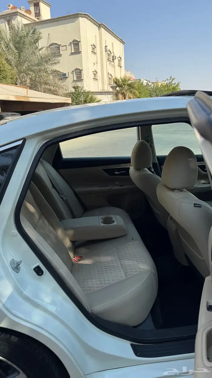 التيما 2017 11