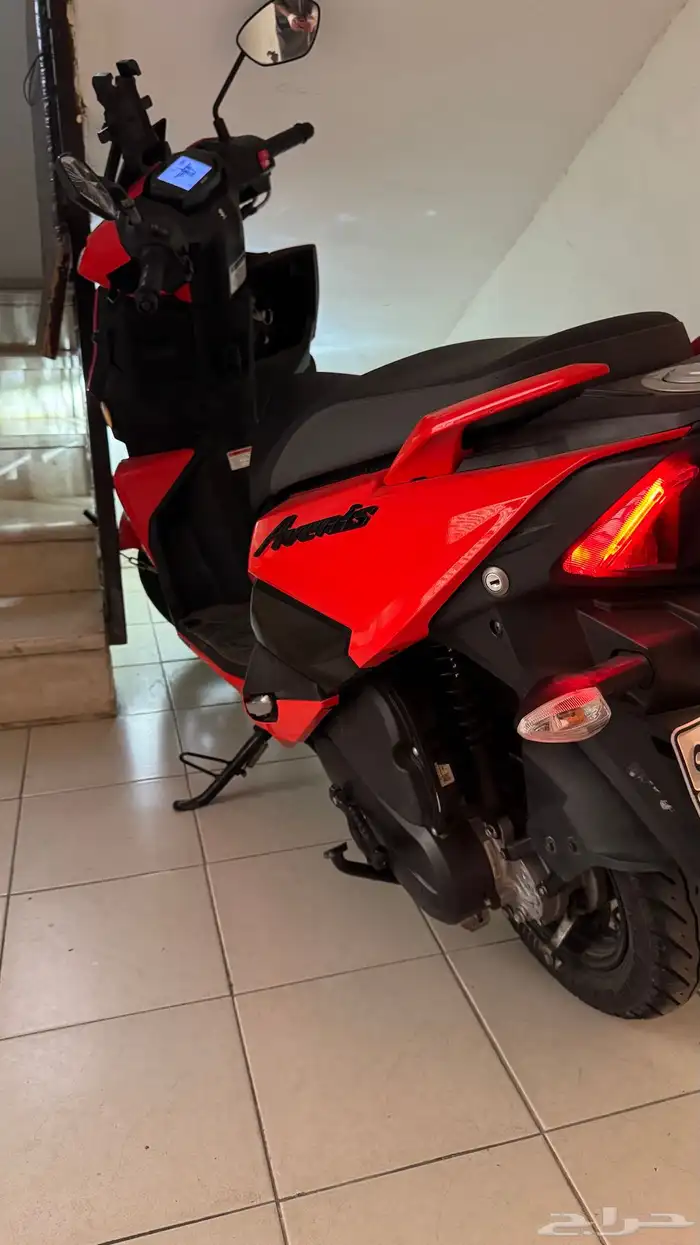 عجيب سزوكي 2023 9