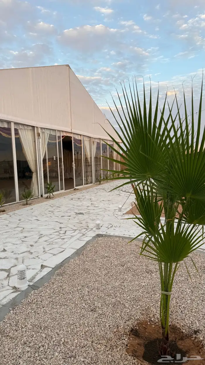 مخيم توق للايجار رماح 3