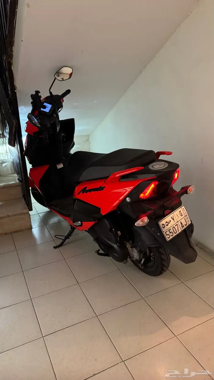 عجيب سزوكي 2023 2