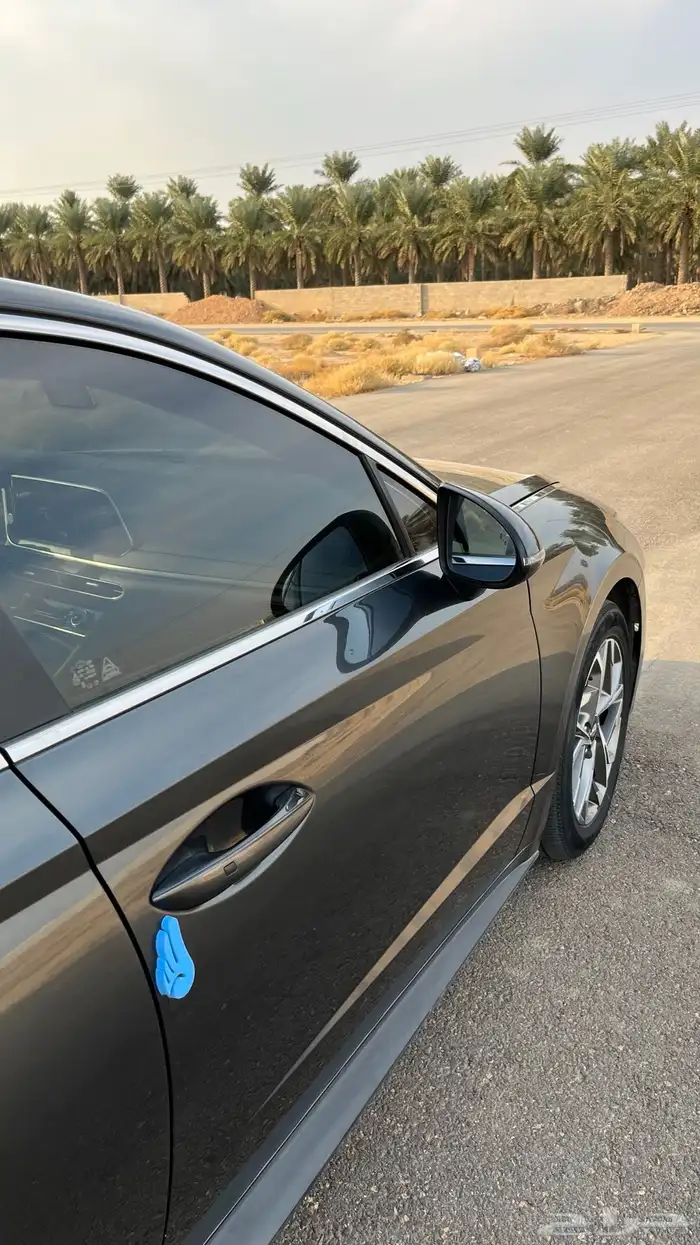 سوناتا 2021 28