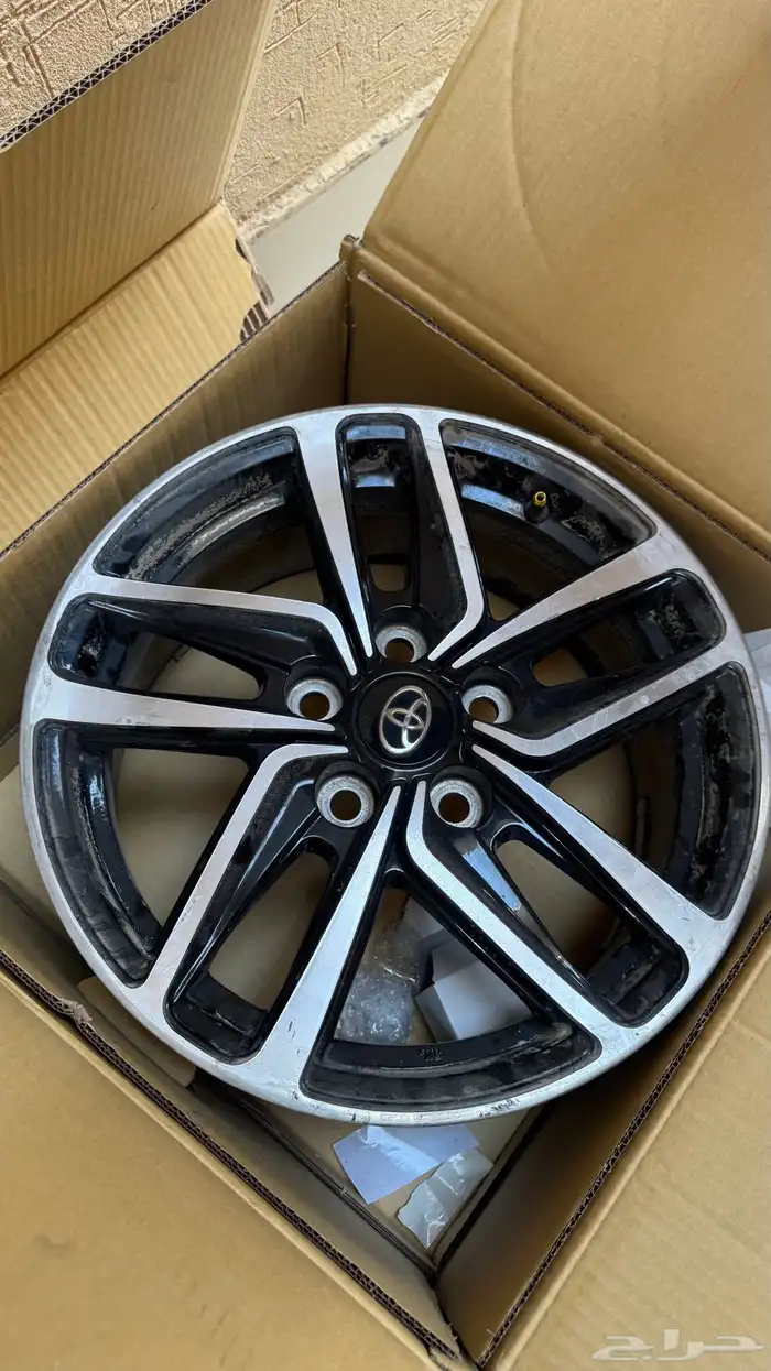 جنوط كاميري 2024 0