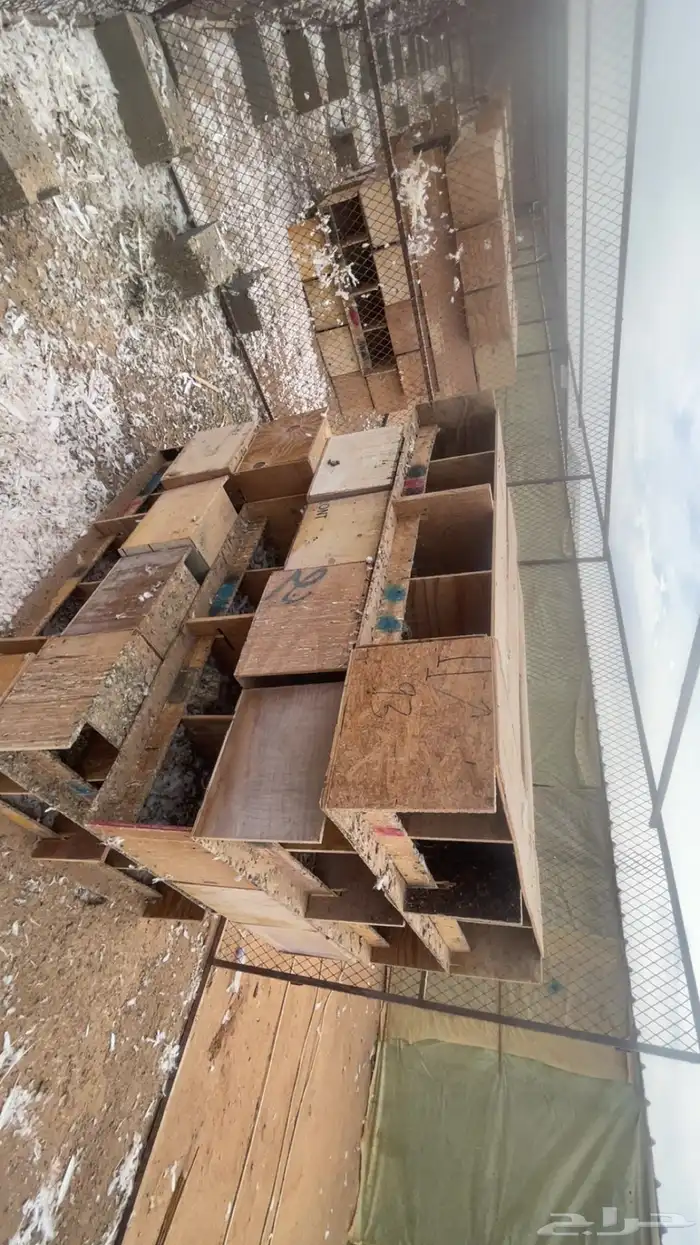 مخافق حمام 1