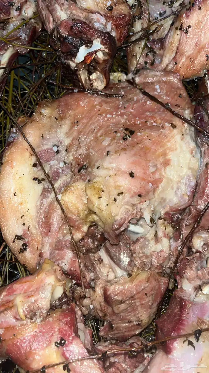 طبخ حنيذ بالمرخ 4