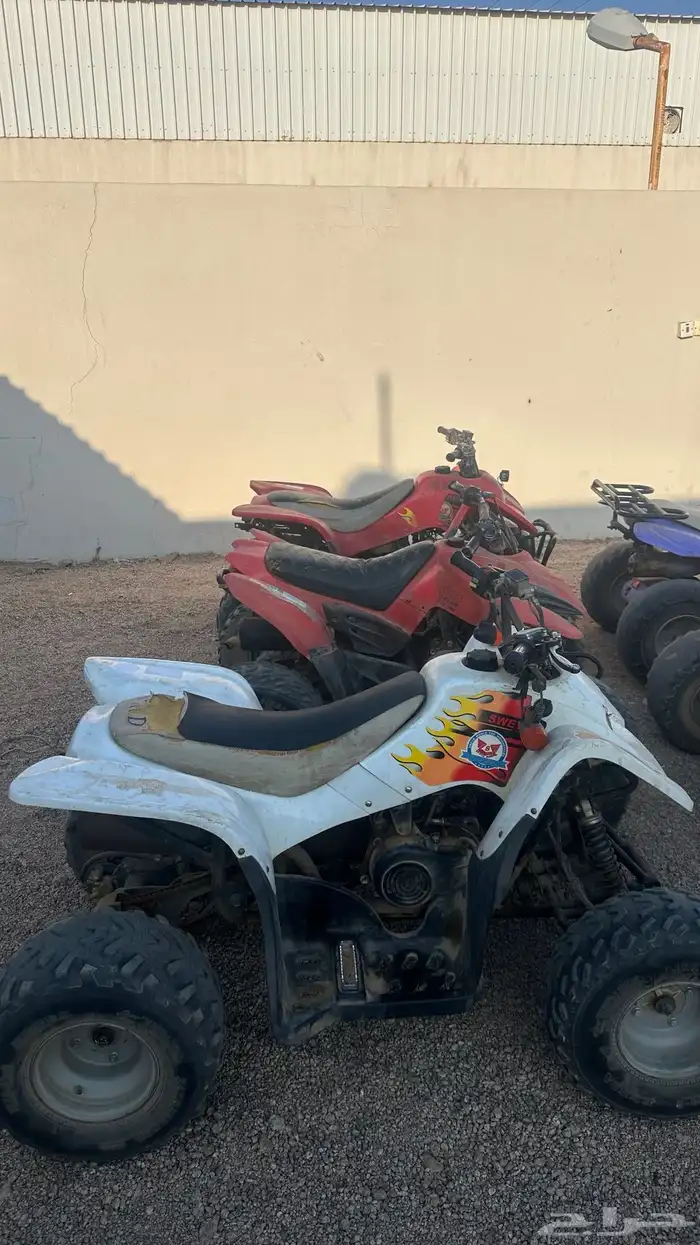 دبابات العدد 6 2