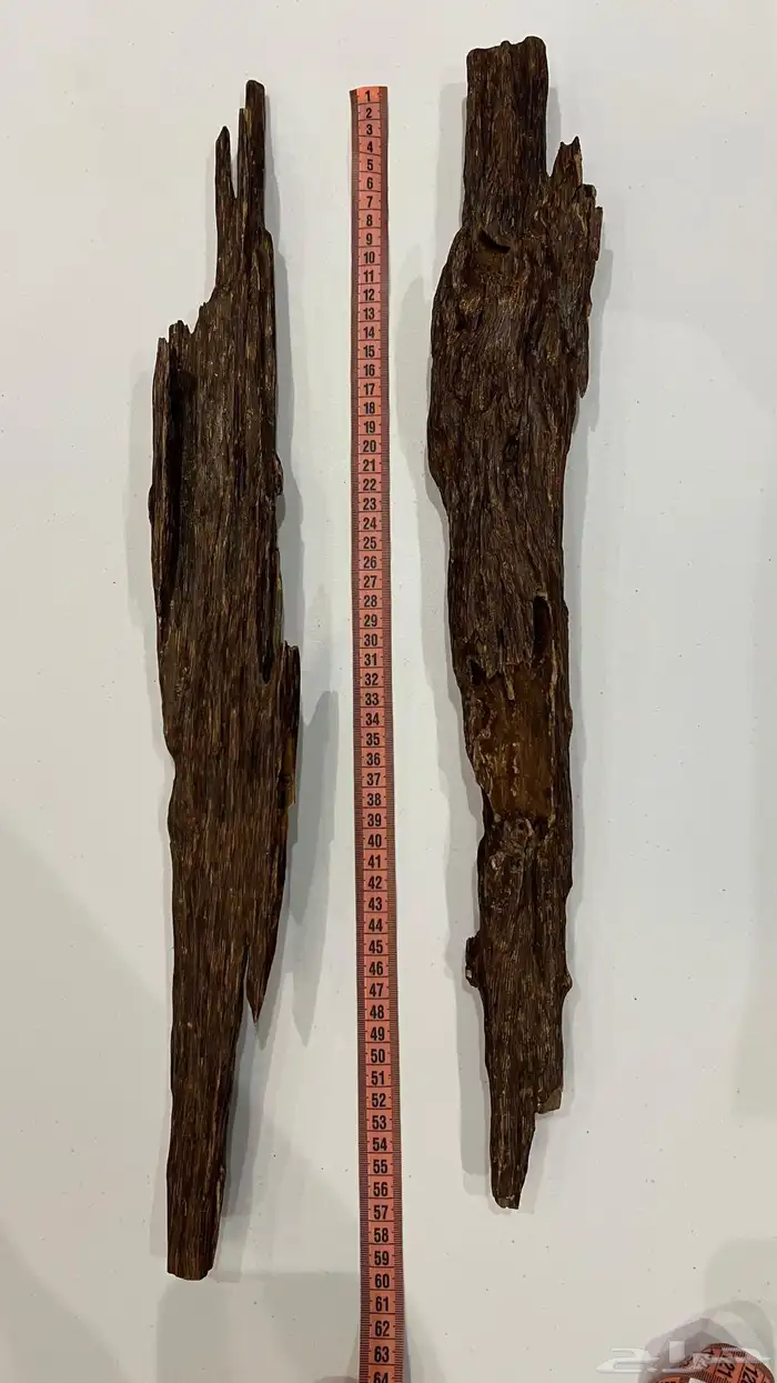 عود هندي قديم كسرتين كبيرة الوزن 600 جرام. 1