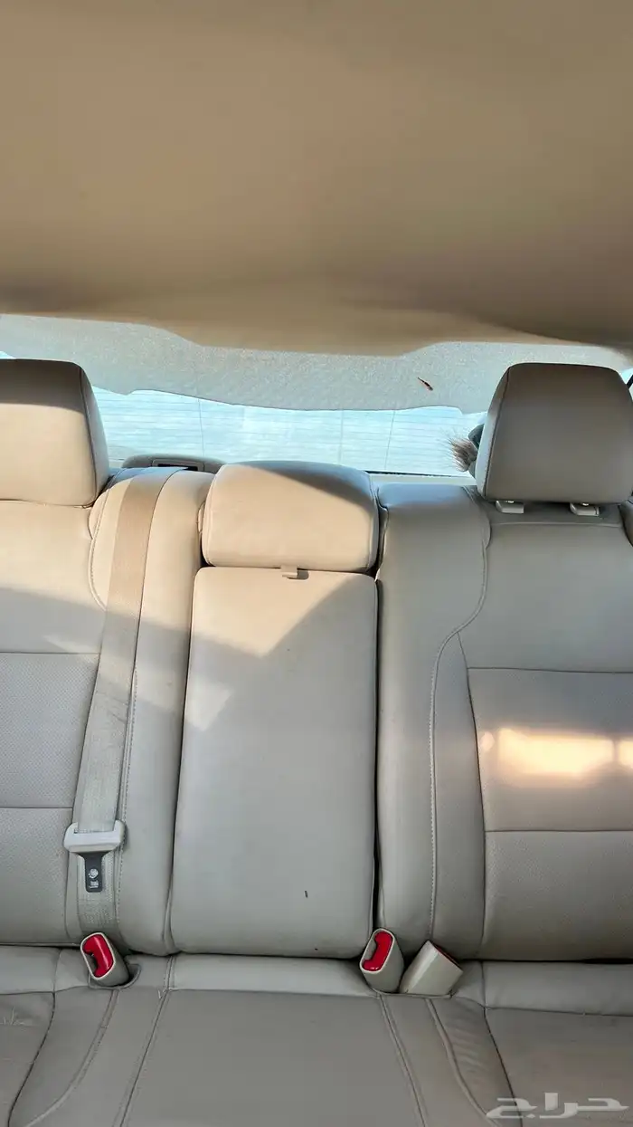 للبيع فورد تورس موديل 2013 13