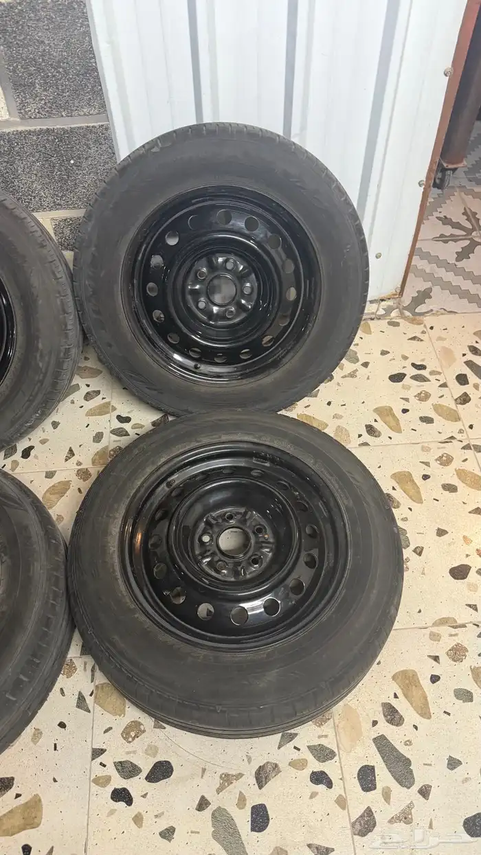 جنوط كامري وطيس 2025 6