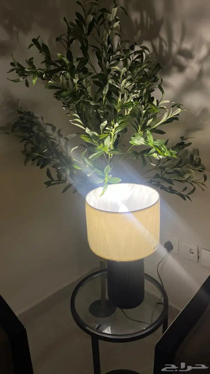 بيع ابجوره 0