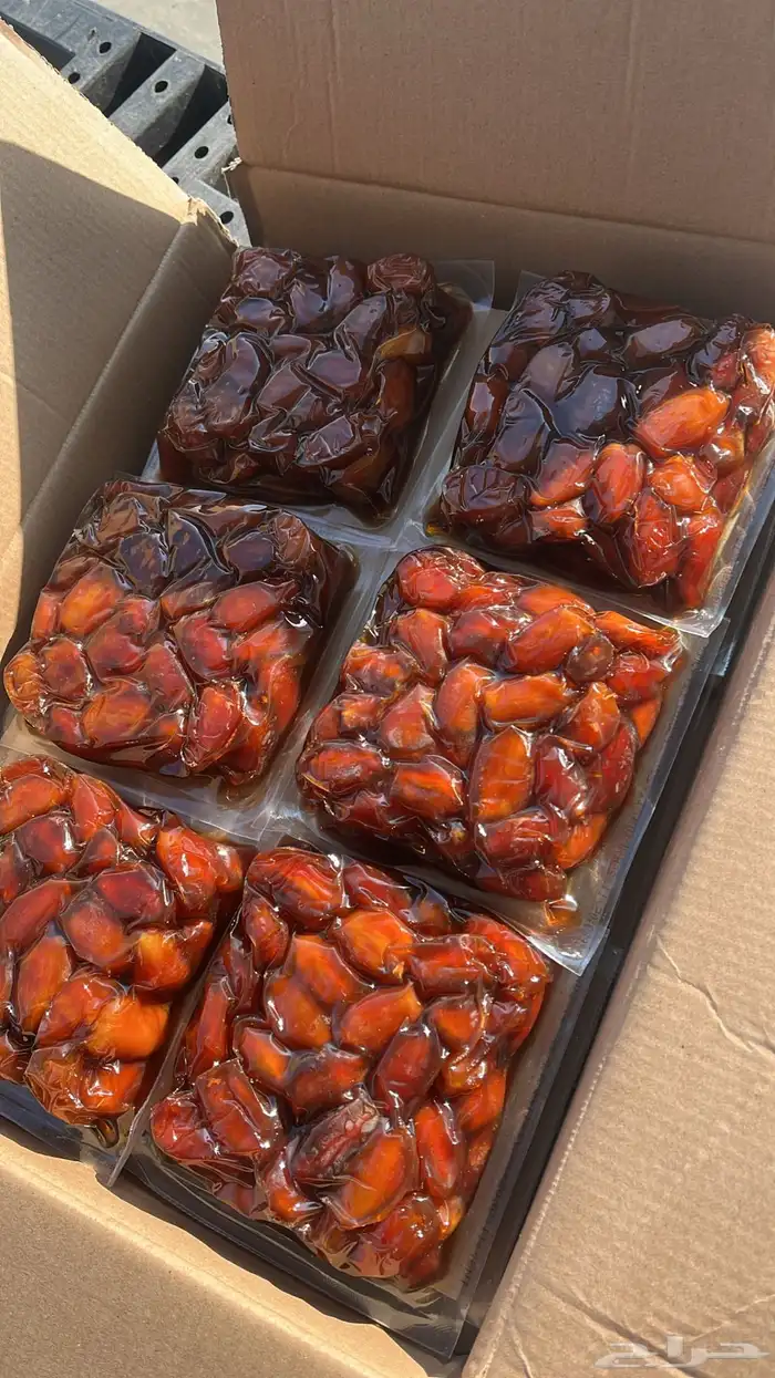 خلاص القصيم مصنع نص كيلو 1