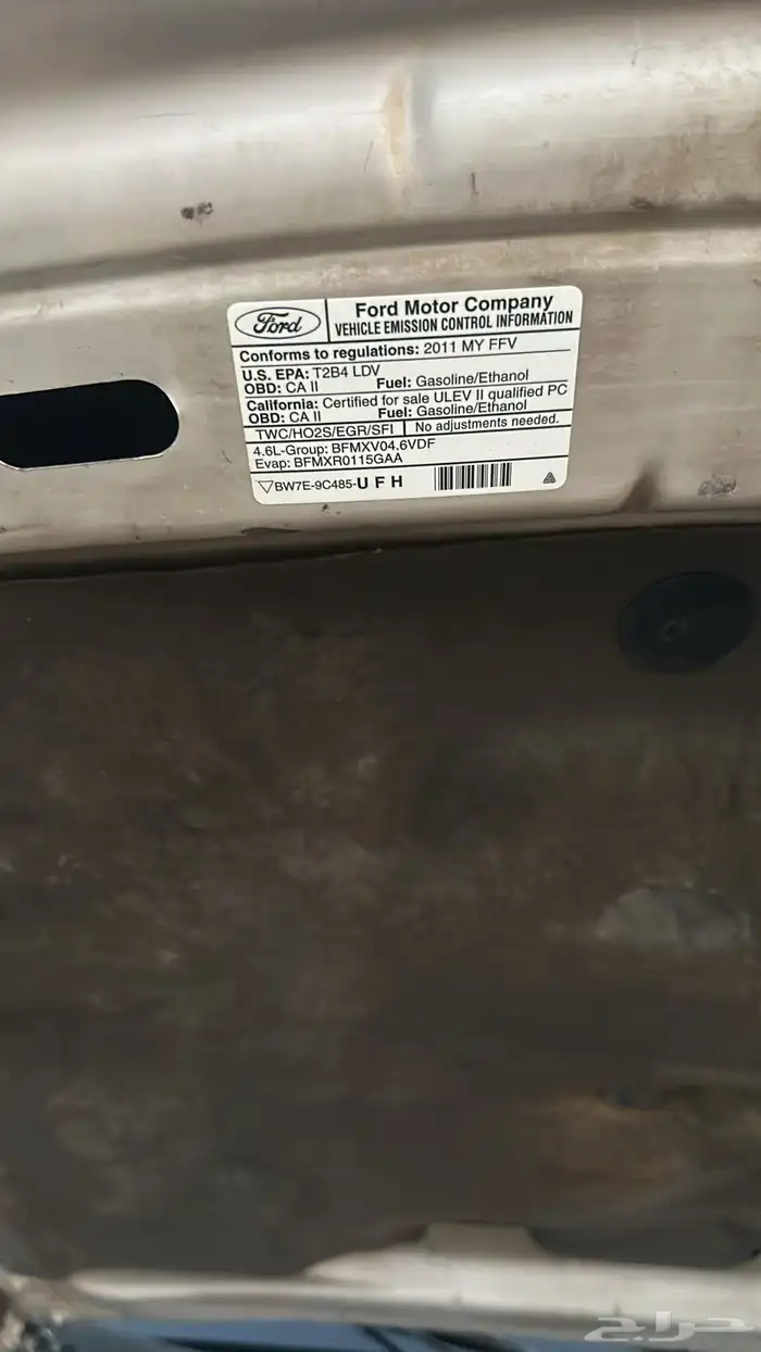 فكتوريا 2011 سمني 15