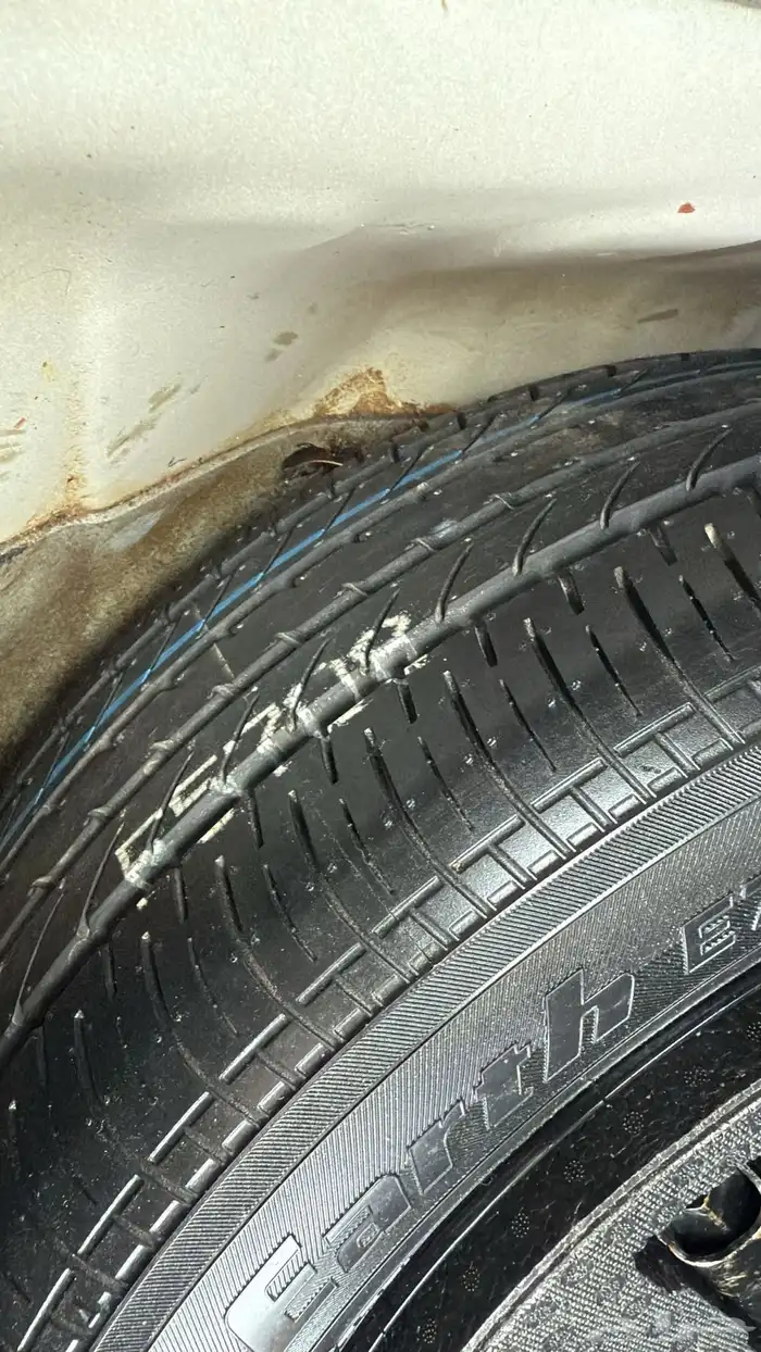 التيما وكاله 2017 12