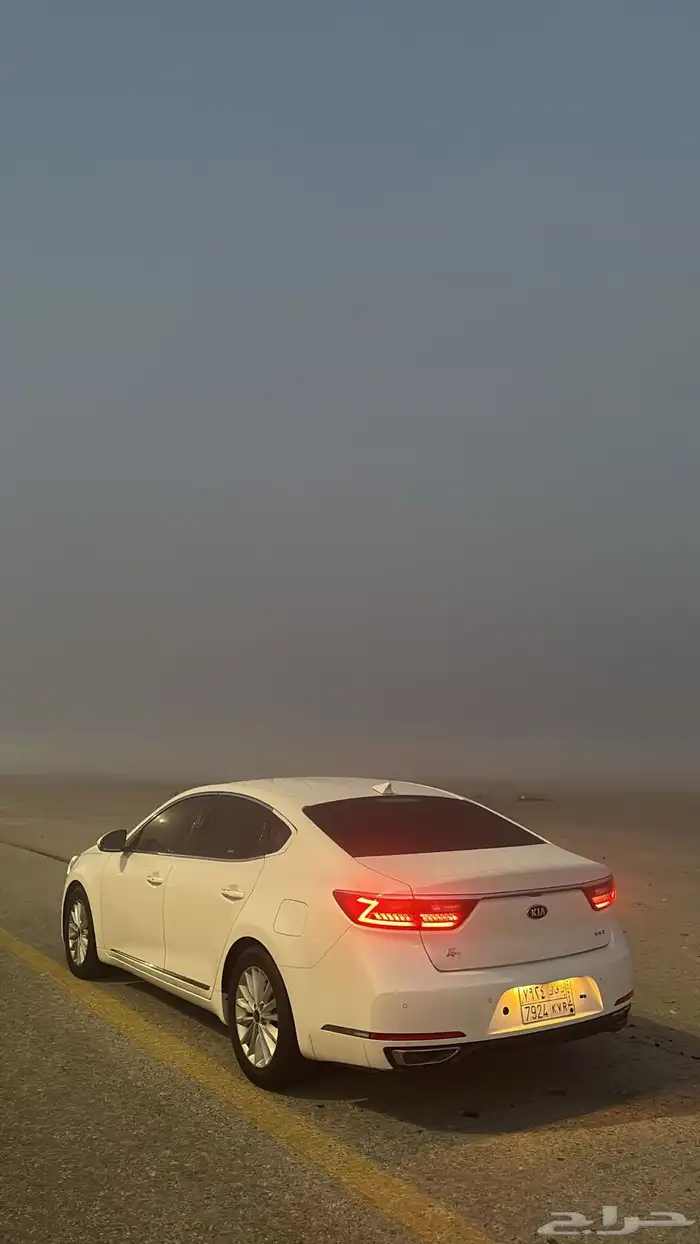 كادينزا 2019 نص فل ديزل (200km) 6