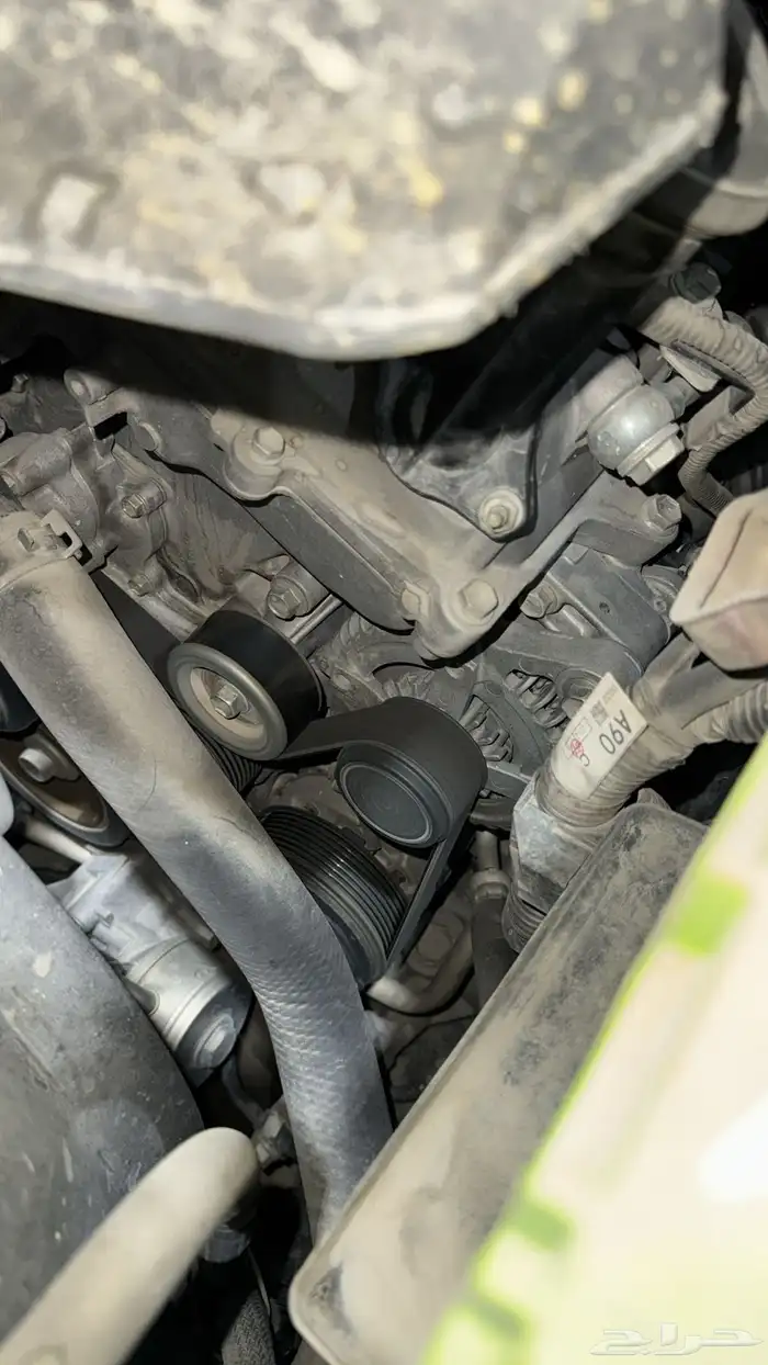 افجي 2020 بدي وكاله 21