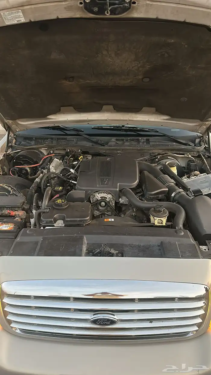 فكتوريا 2011 سمني 17