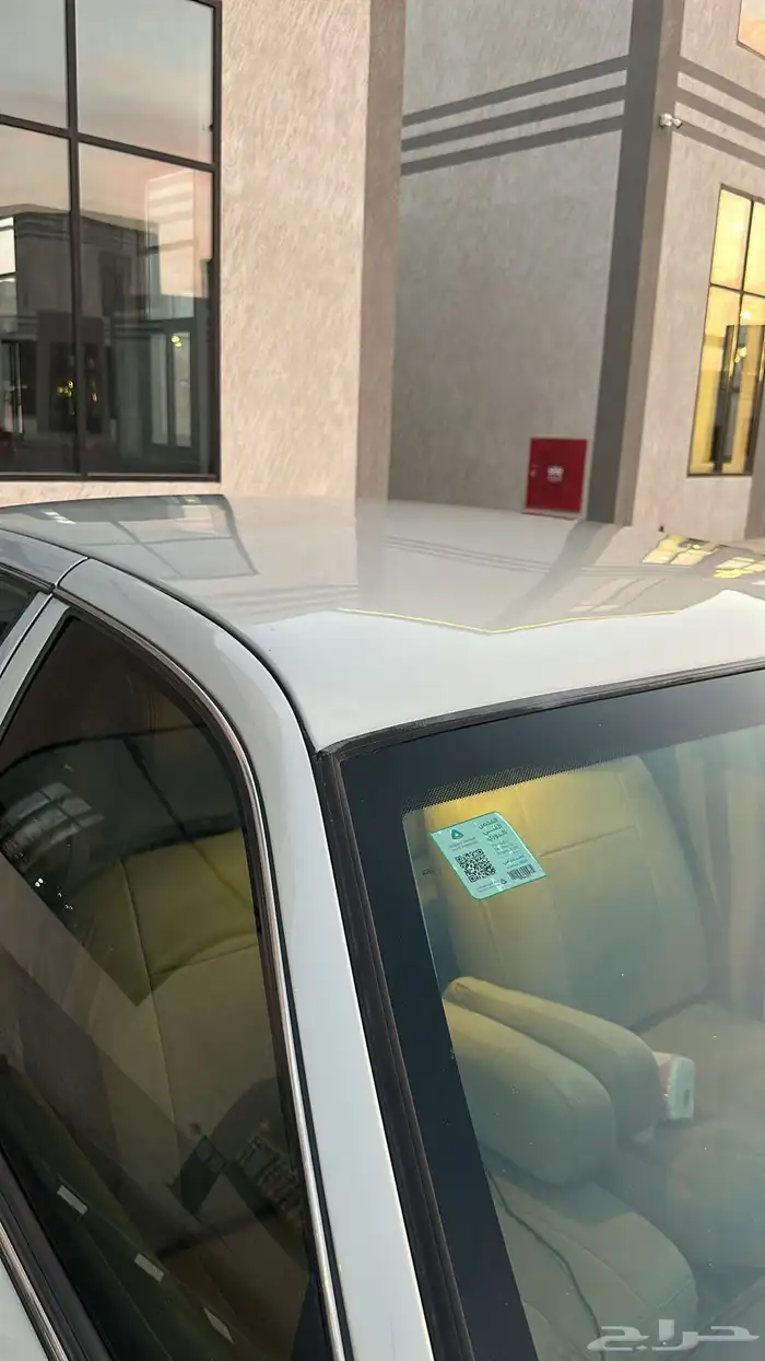 فكتوريا 2011 سمني 16