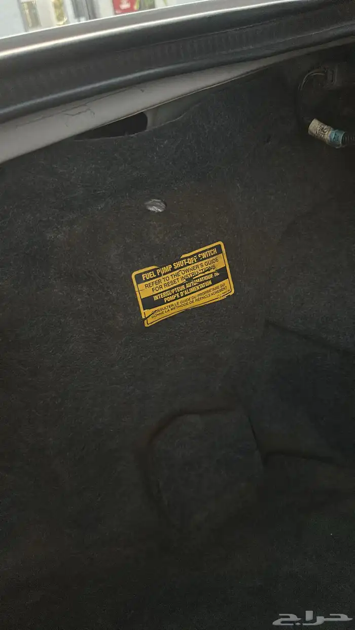 فكتوريا 2011 سمني 18