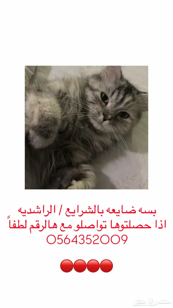 بسه ضايعه بالشرايع 0