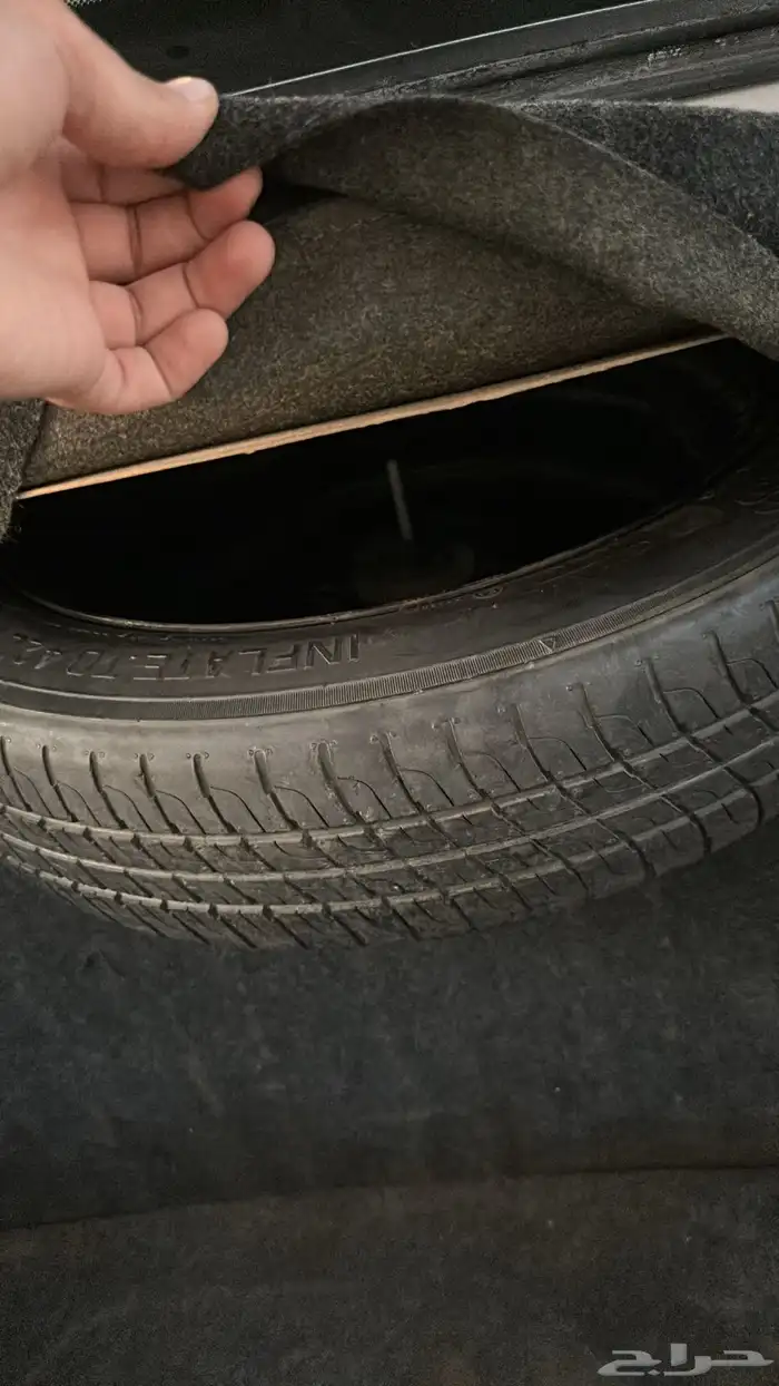 فكتوريا 2011 سمني 12