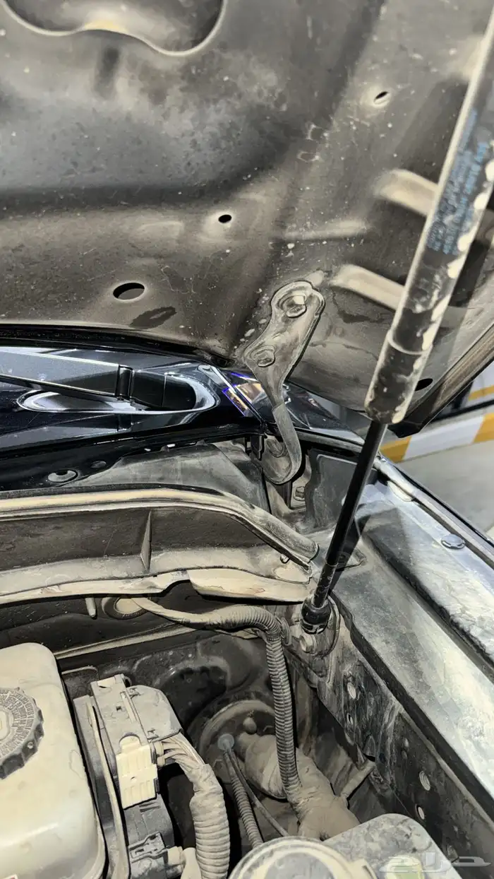 افجي 2020 بدي وكاله 20