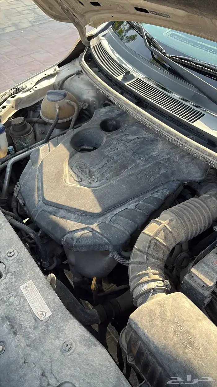 شيري اريزو 3 2020 6