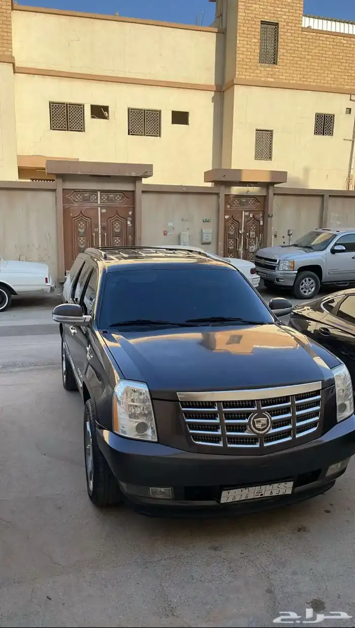 كدلك اسكاليد 2010 1