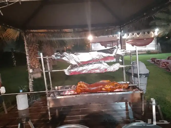 خروف الشيف الذهبي 14