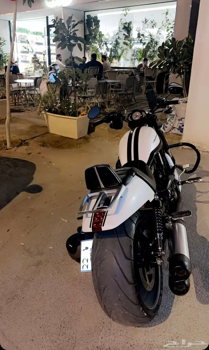 هارلي ديفيدسون نايت رود   - V- ROD Night Rod Spicial 9