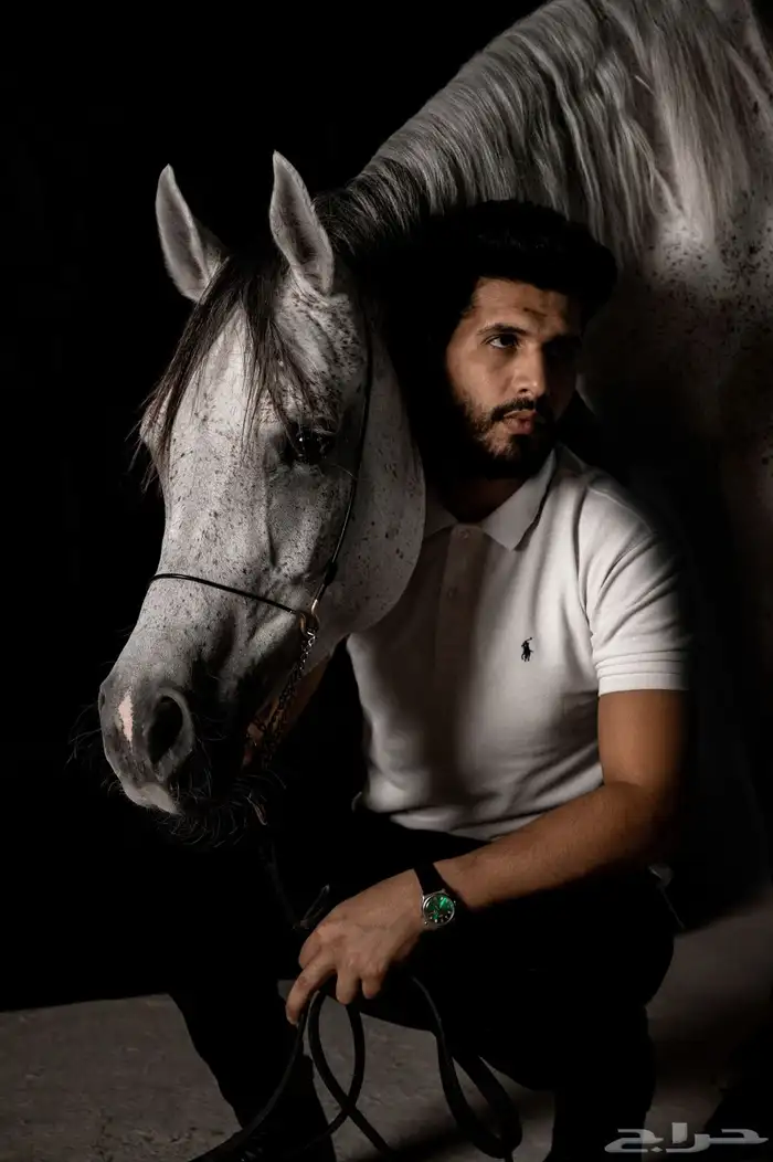 ايواء وتصوير خيول 5