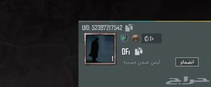 اسامي ثلاثية ببجي بدون حروف مخفيه 0