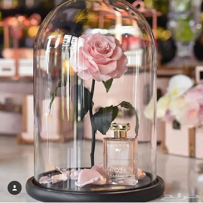 تقبيل محل ورد 42