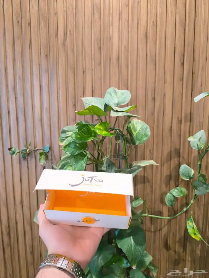 طباعة بوكسات حلويات 8