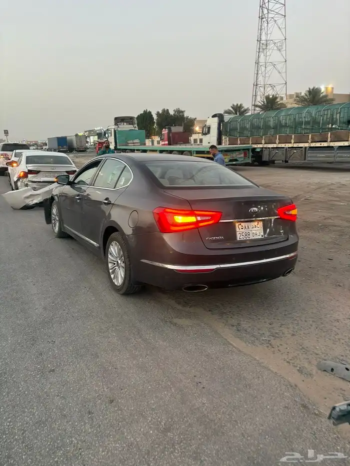 كدنزا للبيع 2016 1