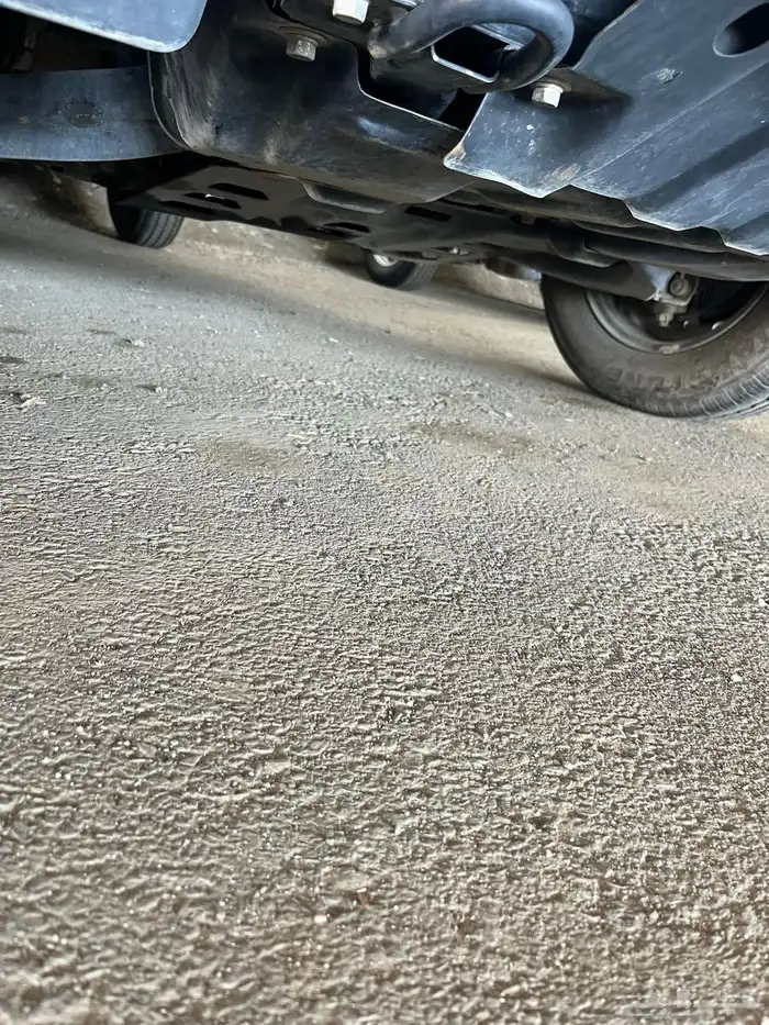 دمكس 2020 5 شنكار اخو الجديد 6