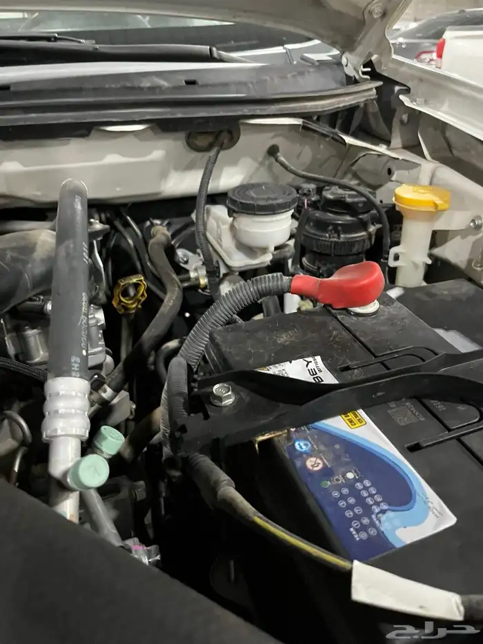 دمكس 2020 5 شنكار اخو الجديد 8